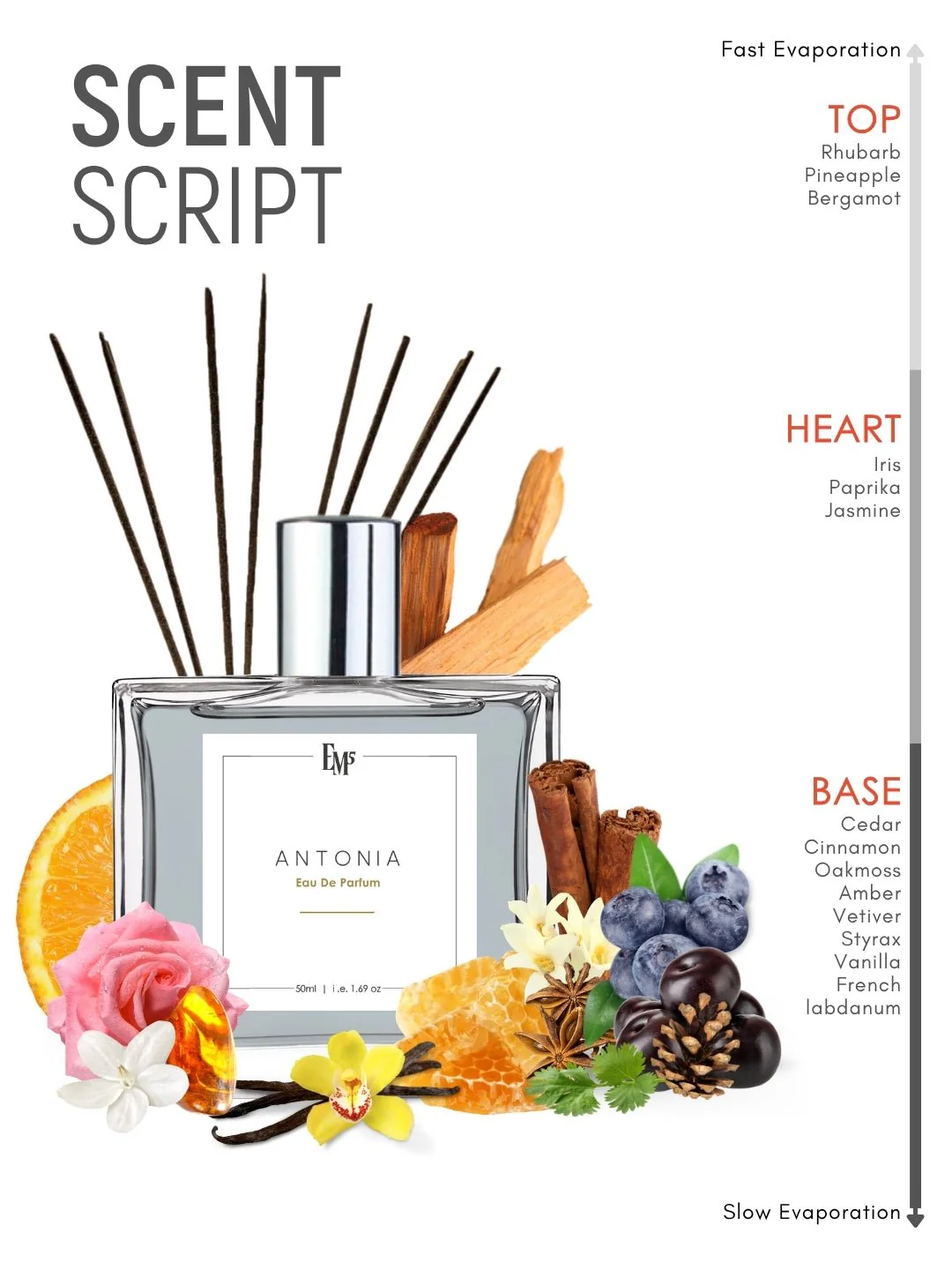 Antonia  | Eau De Parfum - Image 3