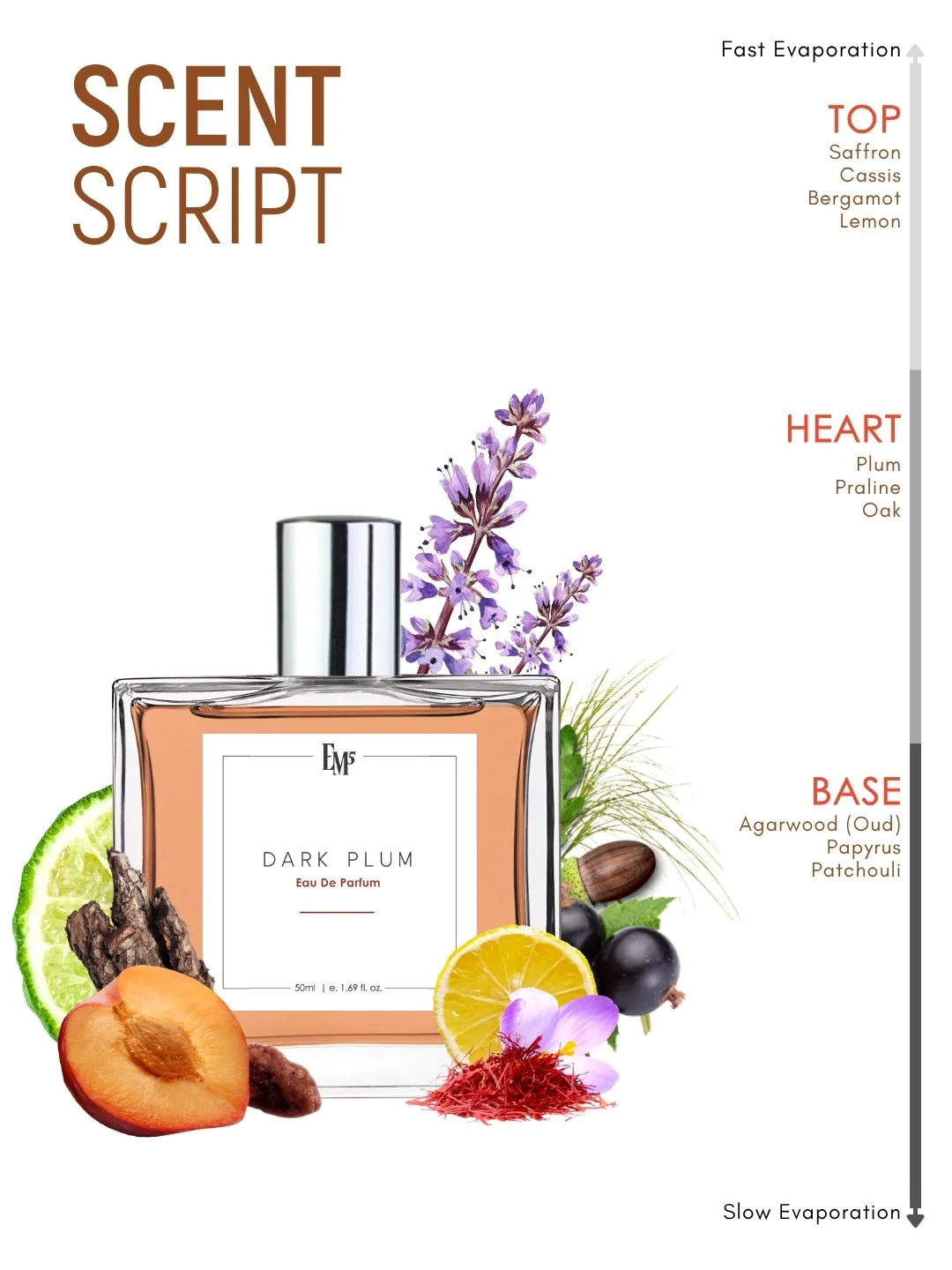Dark Plum | Eau De Parfum - Image 3
