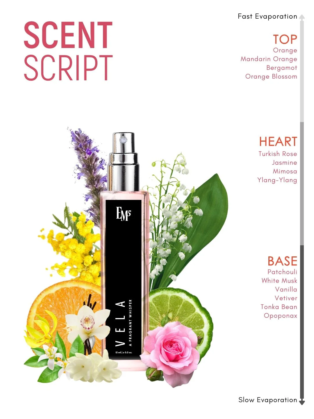 Vela | Eau De Parfum - Image 10