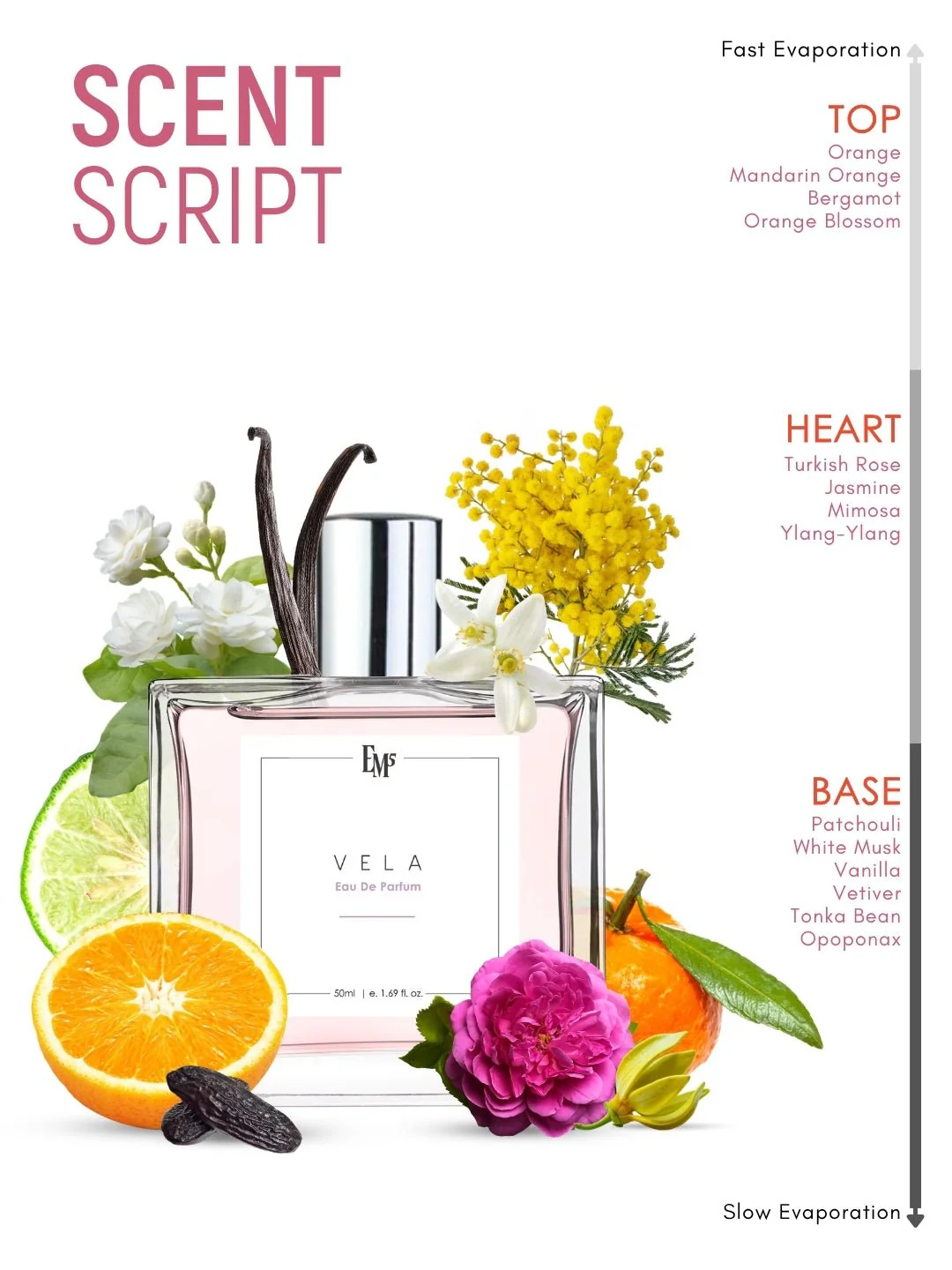 Vela | Eau De Parfum - Image 3
