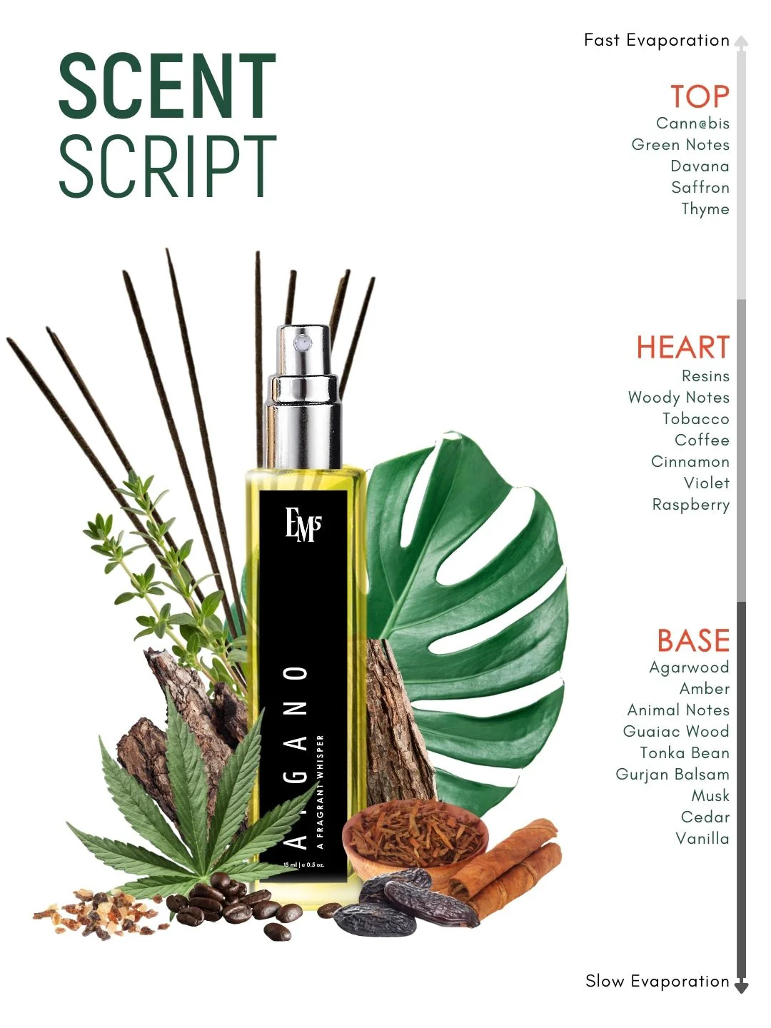 Afgano | Eau De Parfum - Image 10