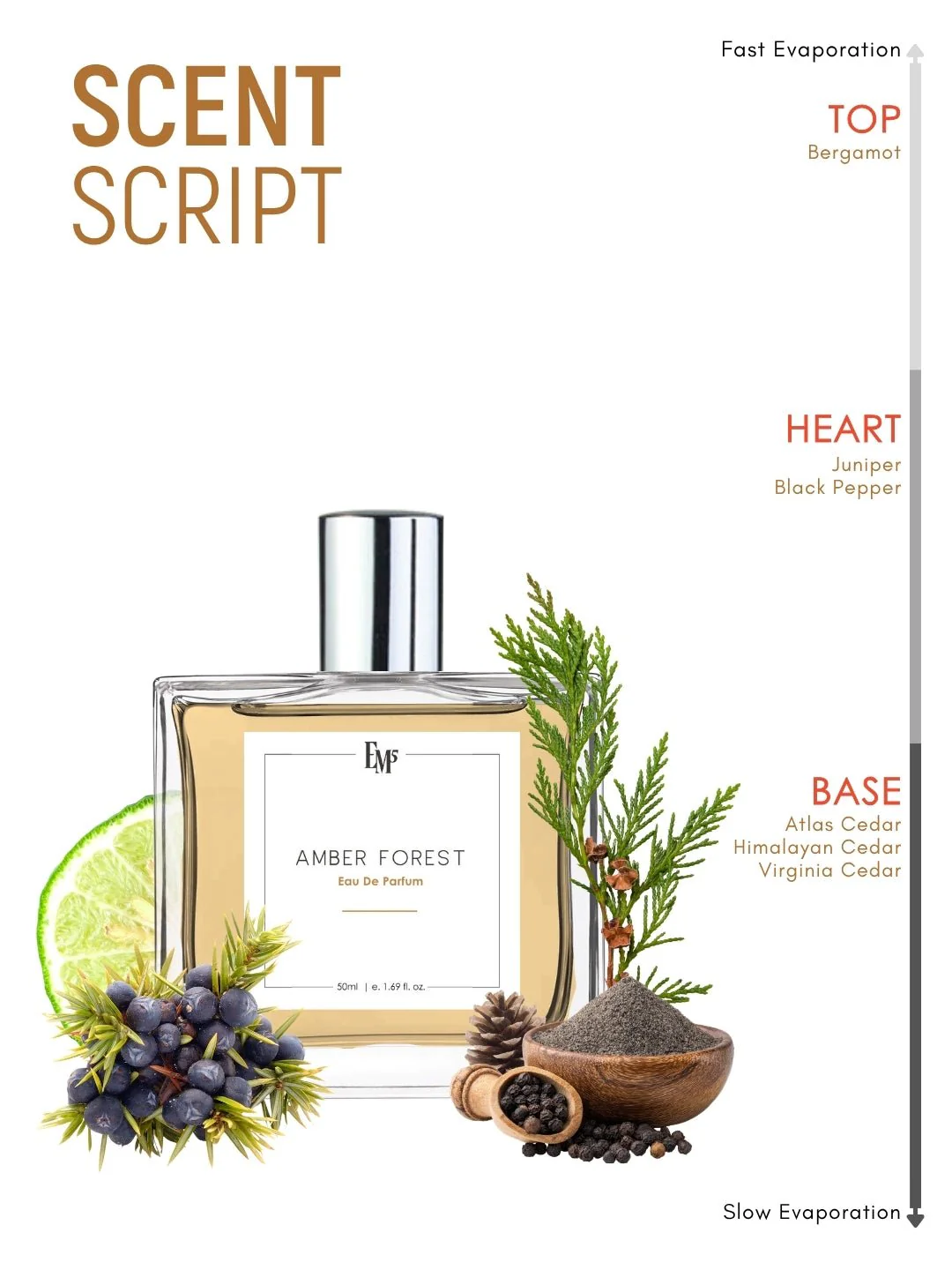 Amber Forest | Eau De Parfum - Image 3