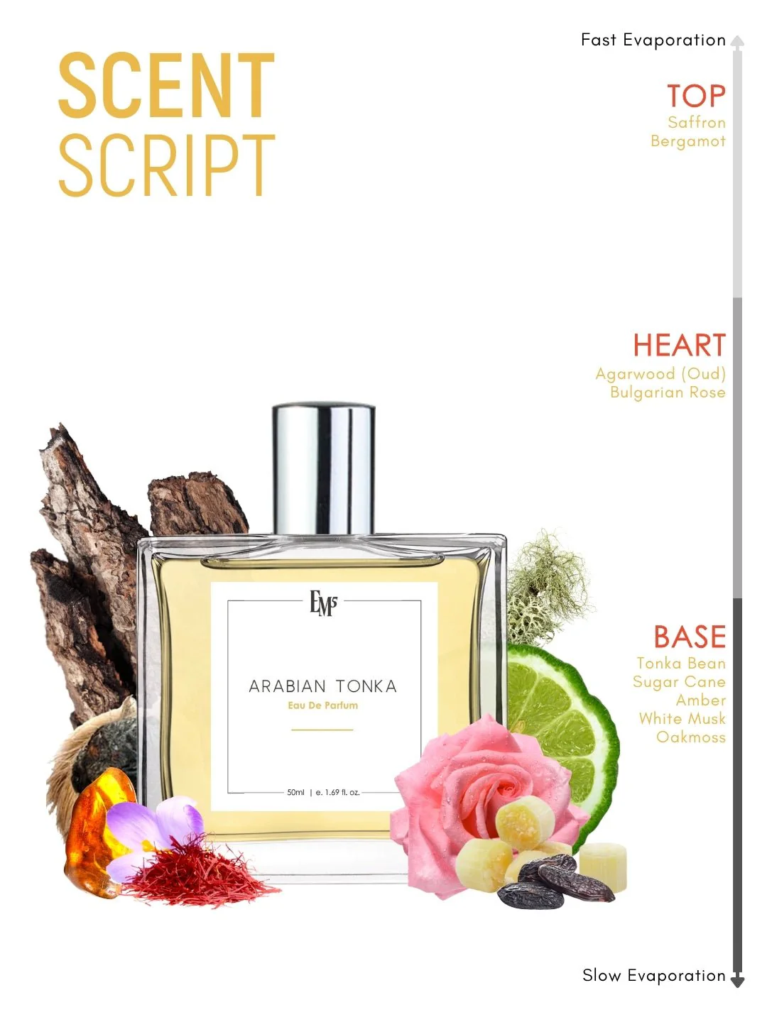 Arabian Tonka | Eau De Parfum - Image 3