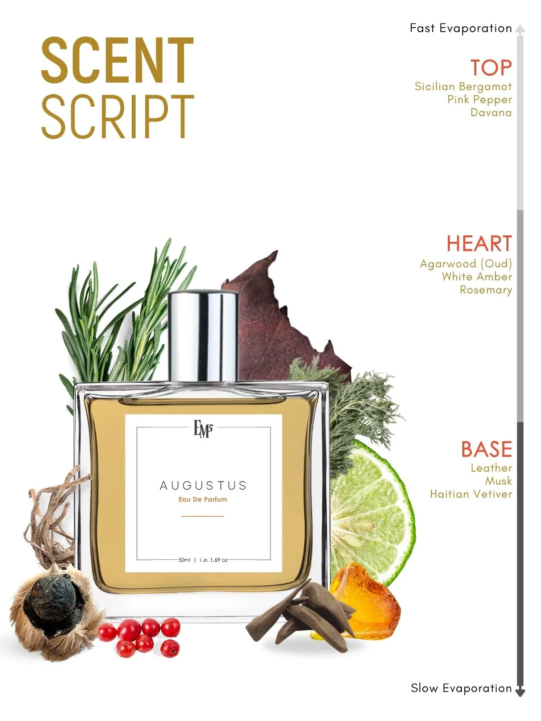 Augustus | Eau De Parfum - Image 3