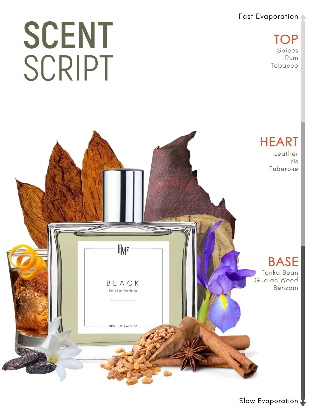 Black | Eau De Parfum - Image 3