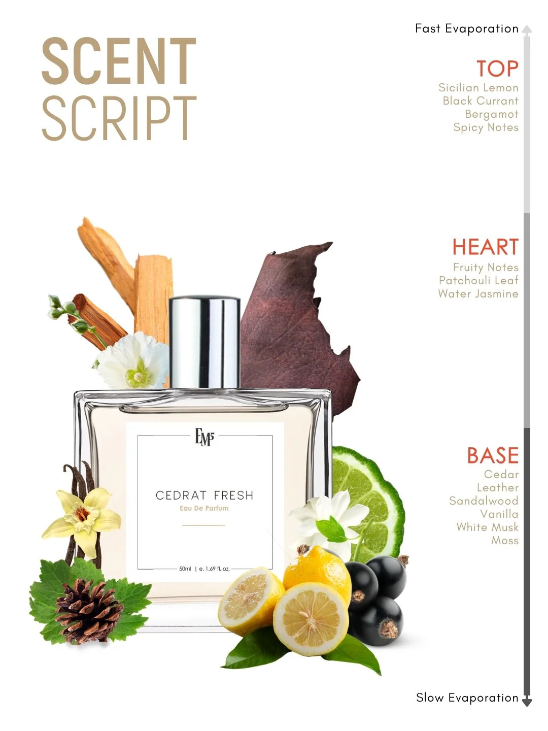 Cedrat Fresh | Eau De Parfum - Image 3