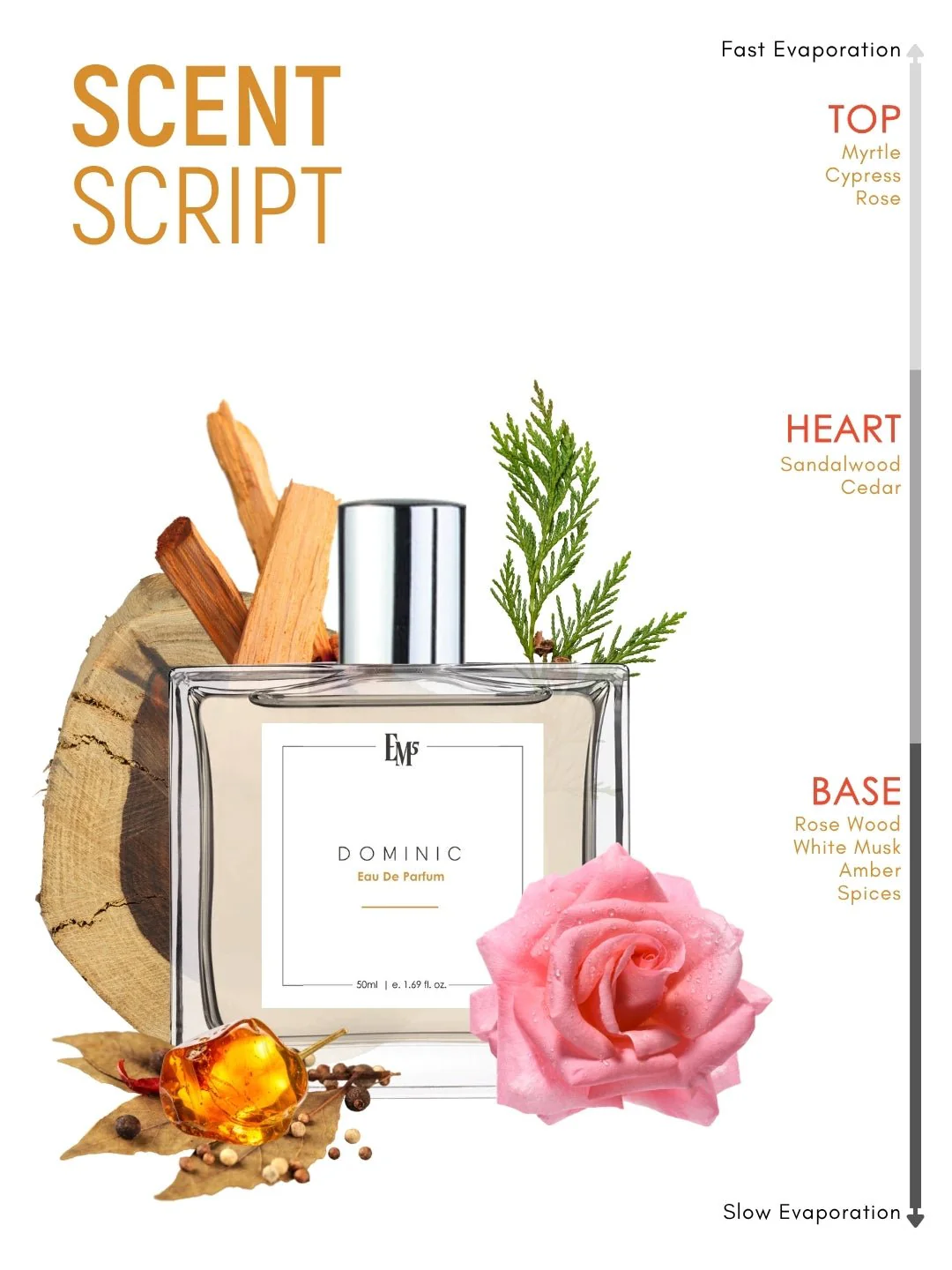 Dominic | Eau De Parfum - Image 3