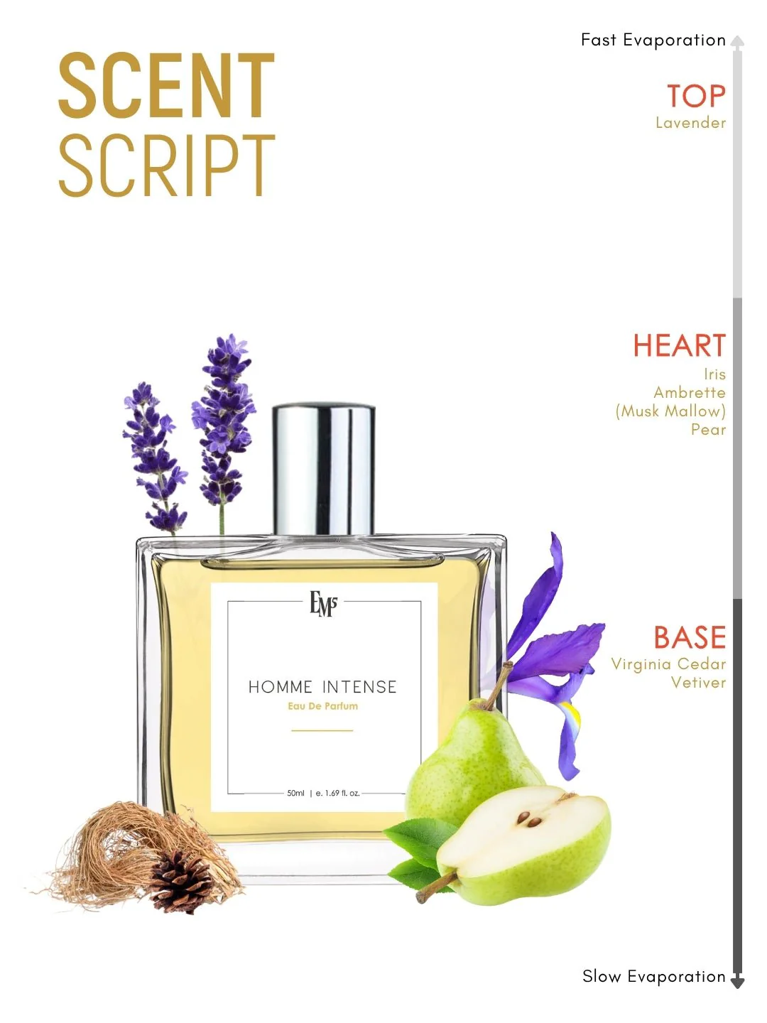 Homme Intense | Eau De Parfum - Image 3