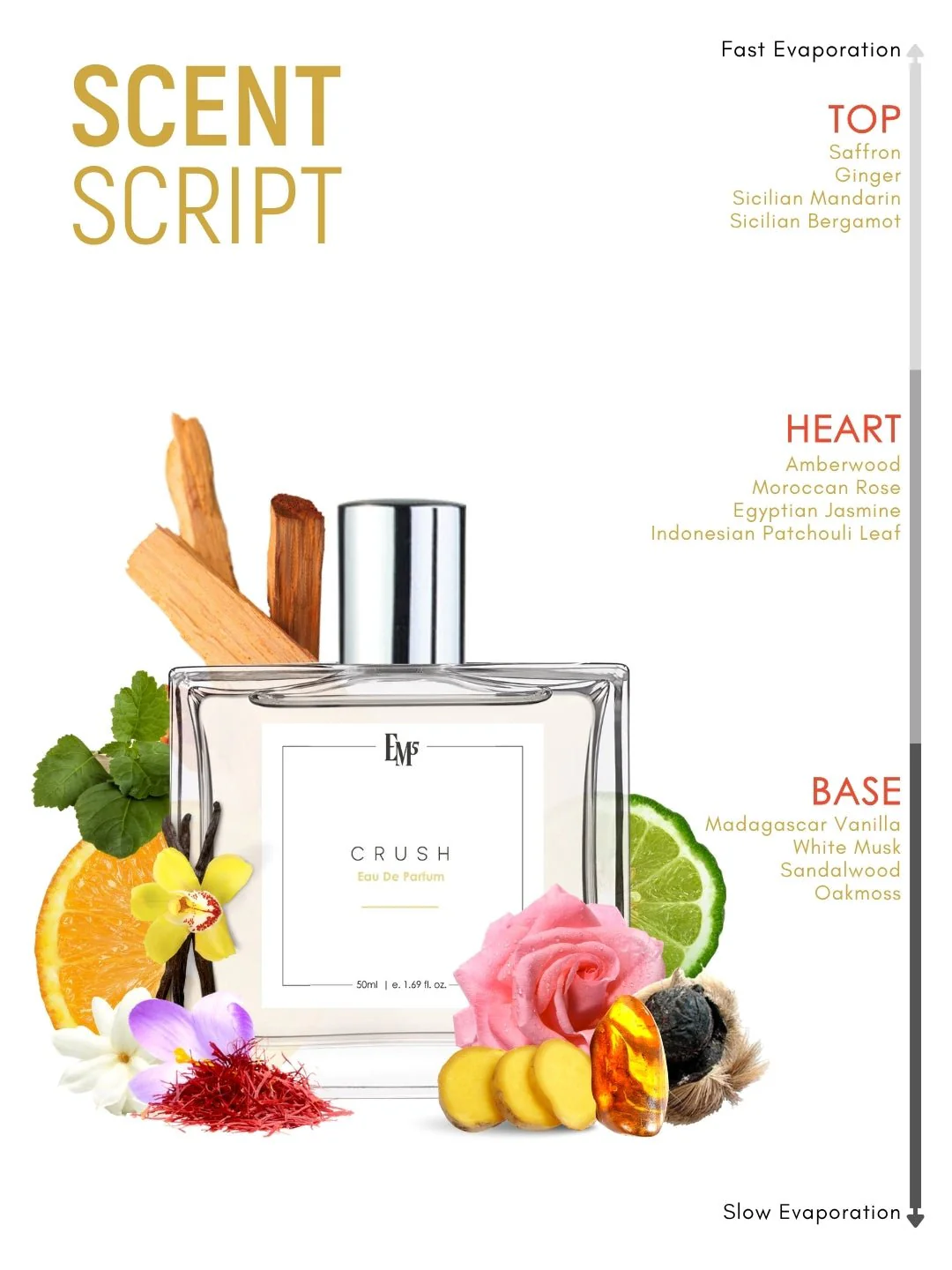 Crush | Eau De Parfum - Image 3