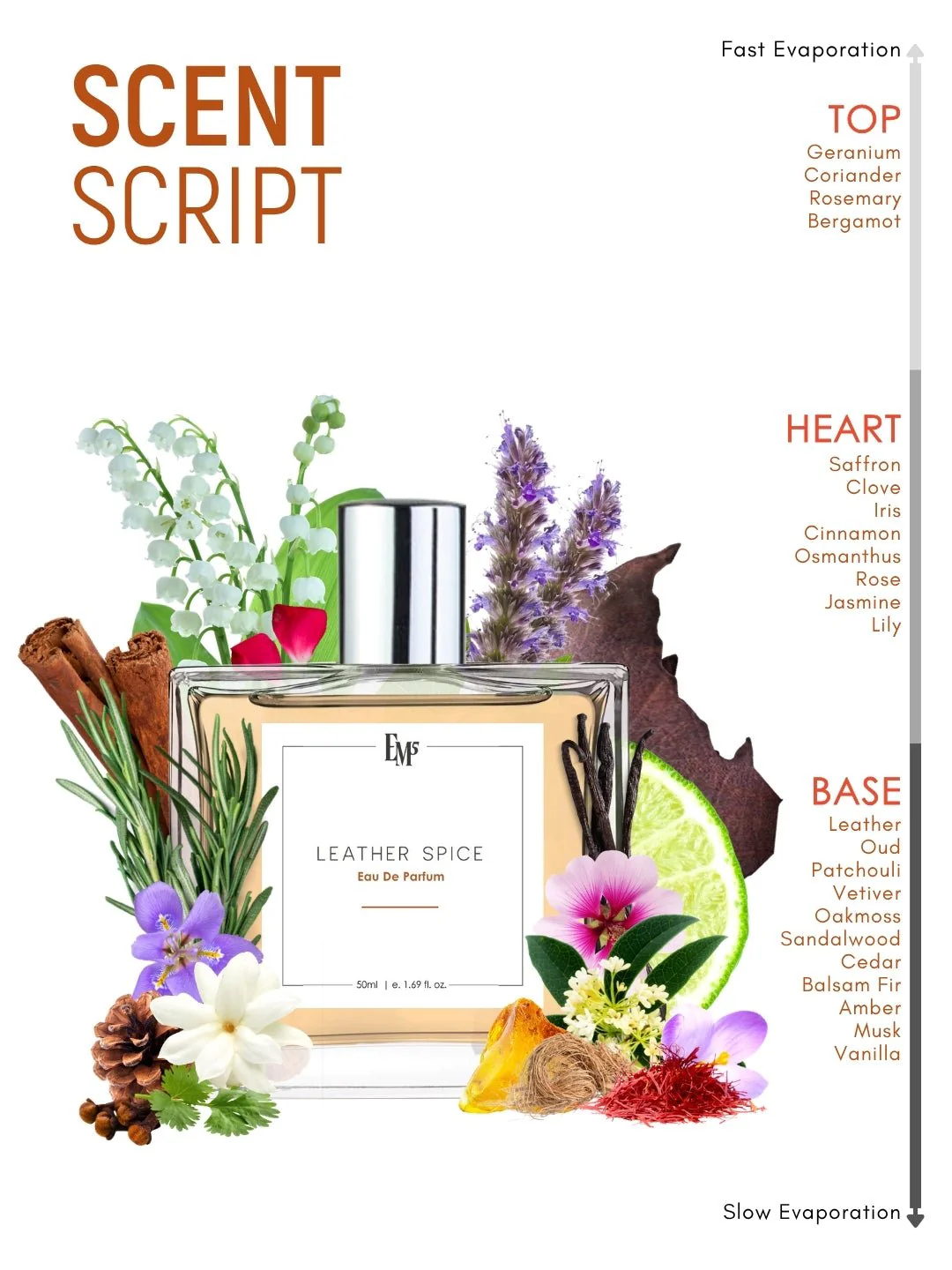 Leather Spice | Eau De Parfum - Image 3