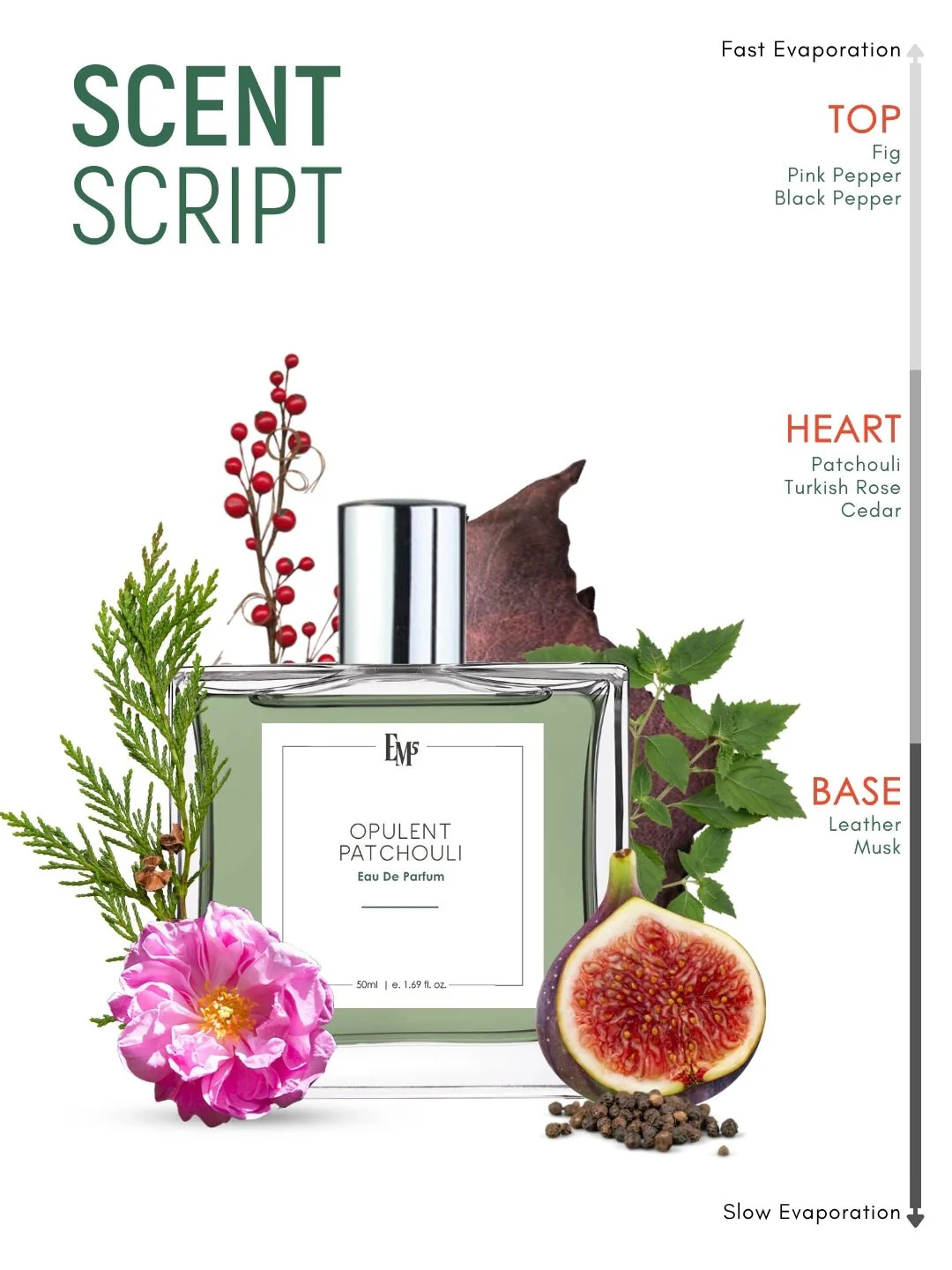 Opulent Patchouli | Eau De Parfum - Image 3