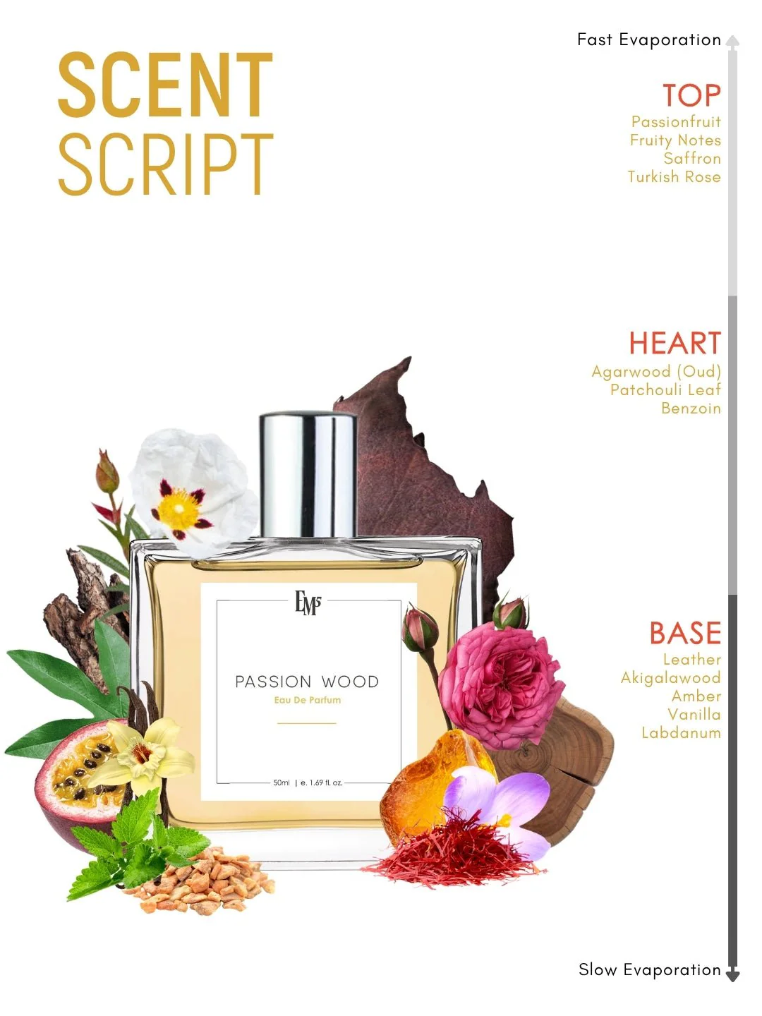 Passion Wood | Eau De Parfum - Image 3