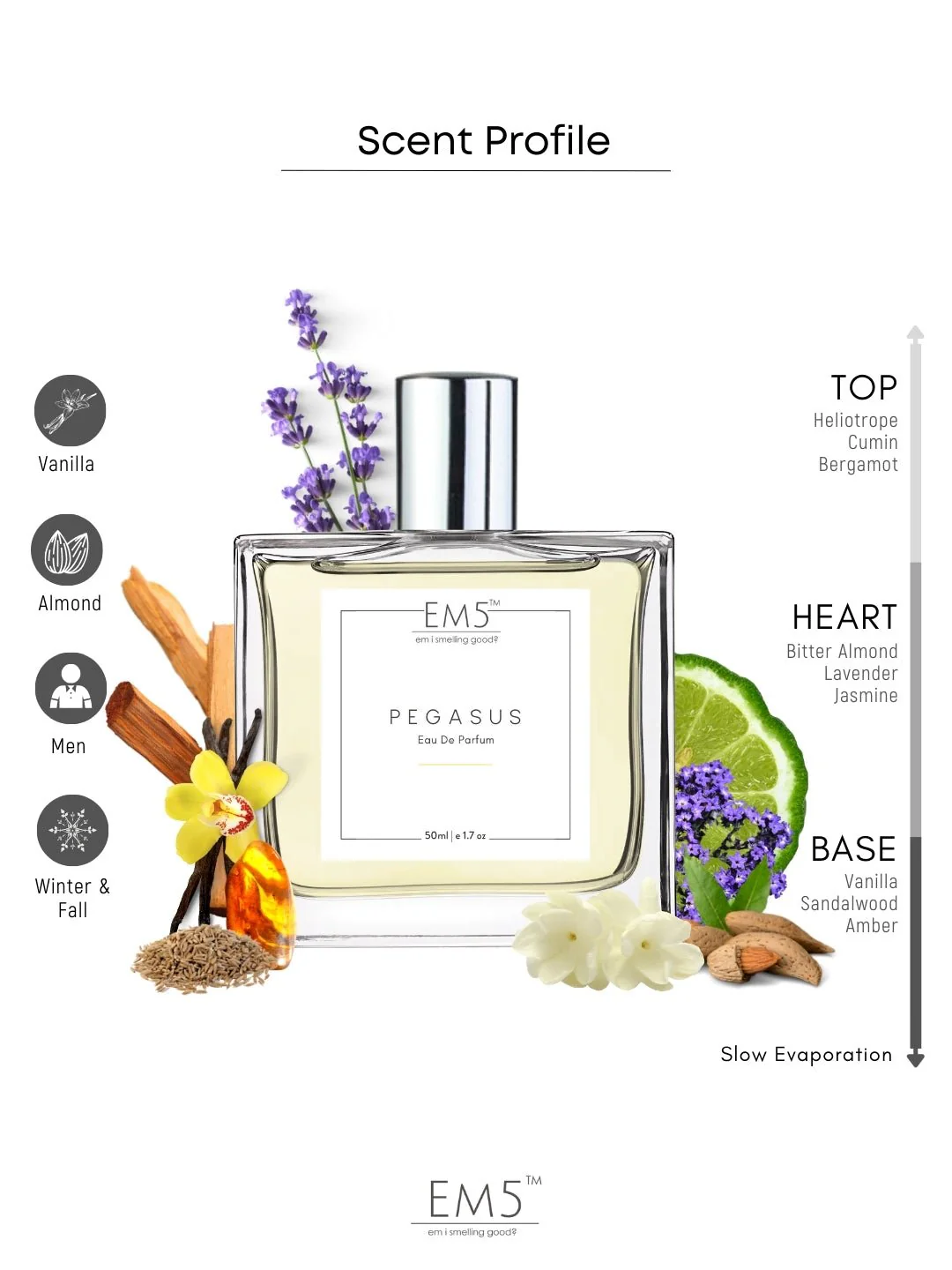 Pegasus | Eau De Parfum - Image 2