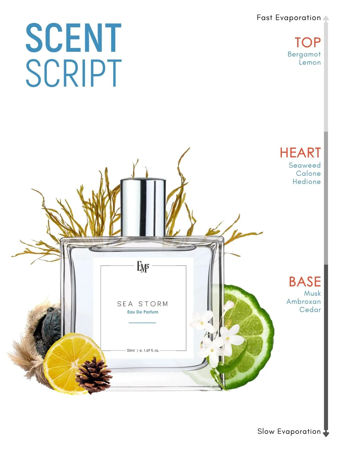 Sea Storm | Eau De Parfum - Image 3
