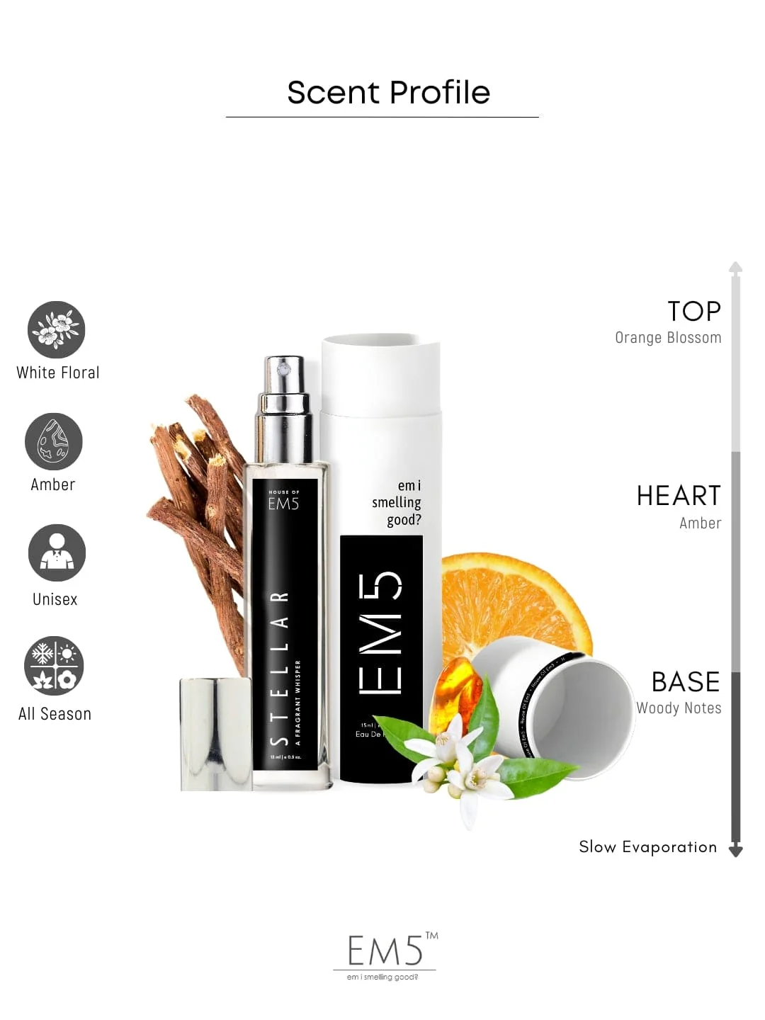 Stellar | Eau De Parfum - Image 7