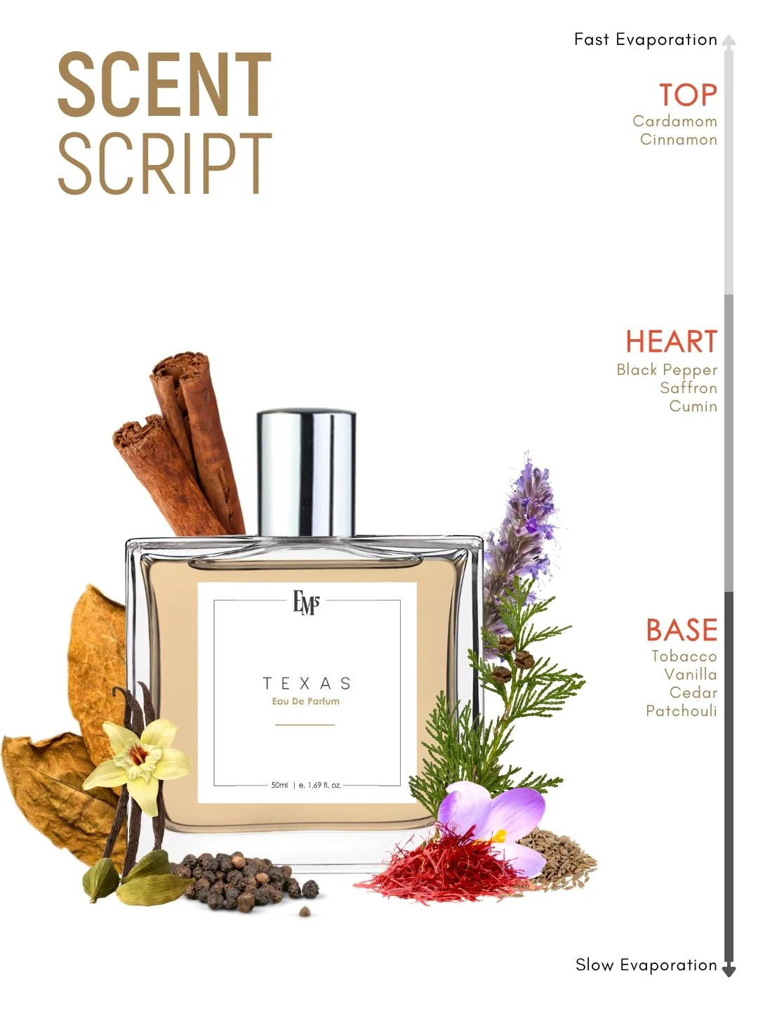 Texas | Eau De Parfum - Image 3