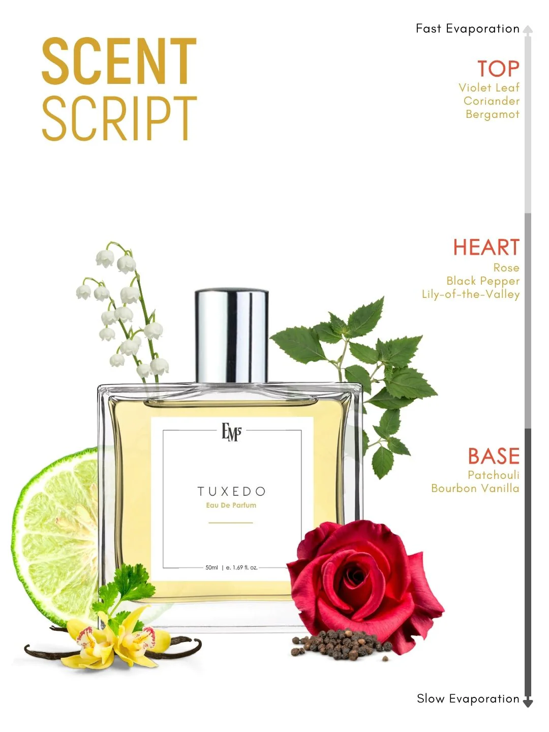 Tuxedo | Eau De Parfum - Image 3