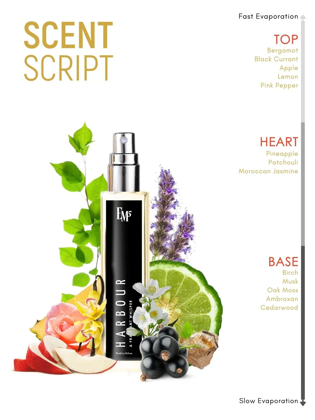 Harbour | Eau De Parfum - Image 10