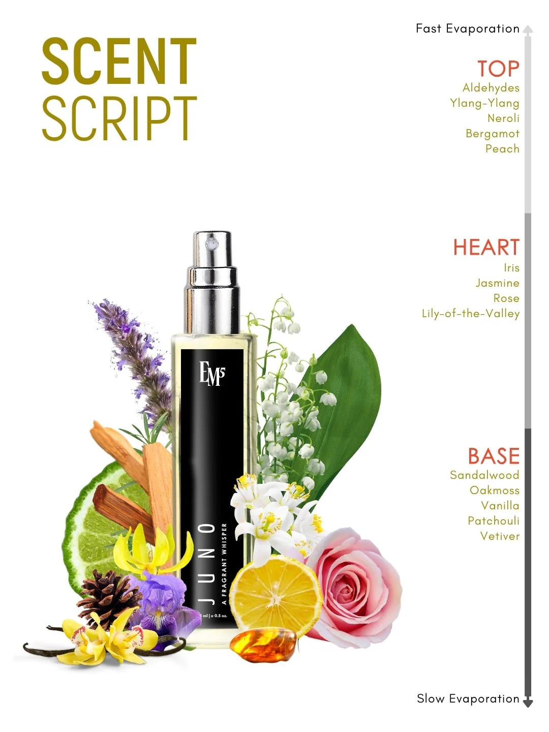 Juno | Eau De Parfum - Image 10