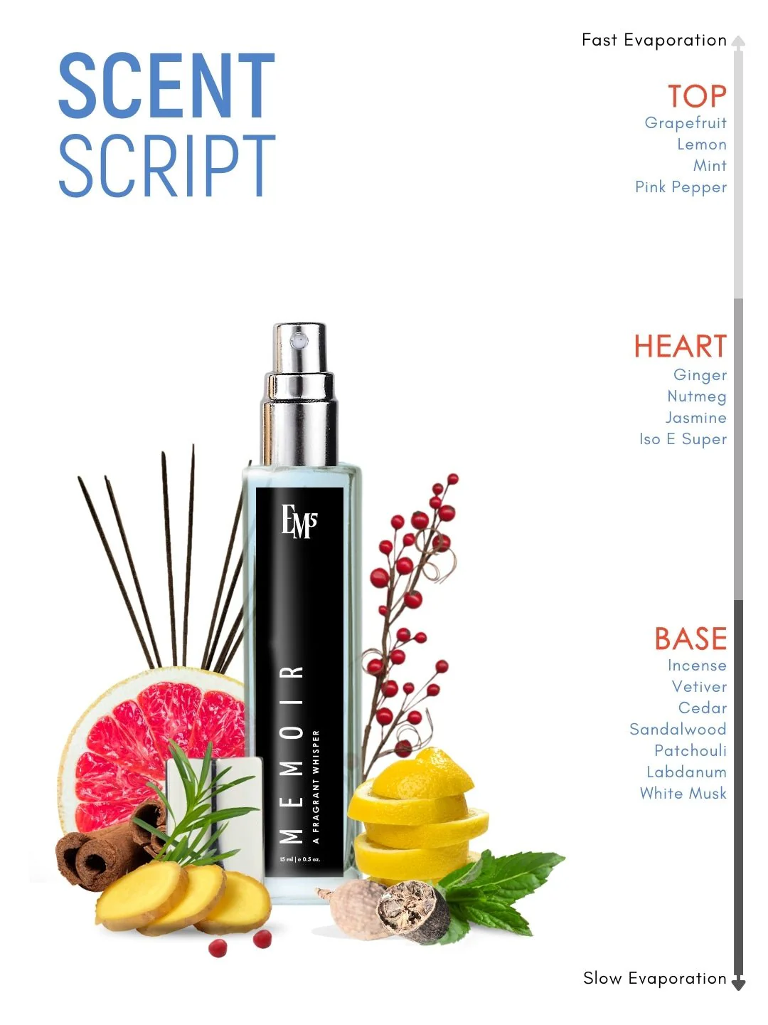 Memoir | Eau De Parfum - Image 10