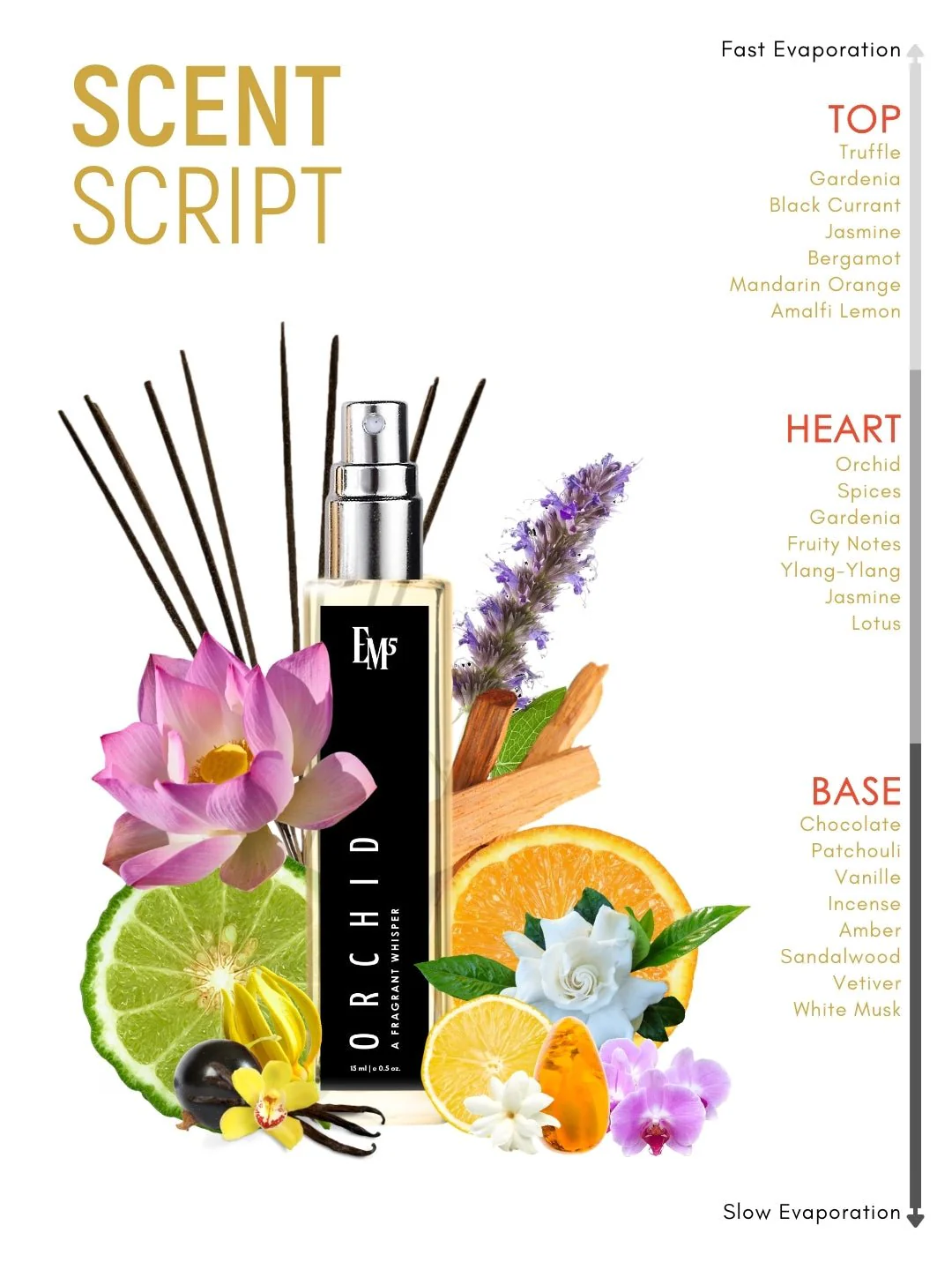 Orchid | Eau De Parfum - Image 10