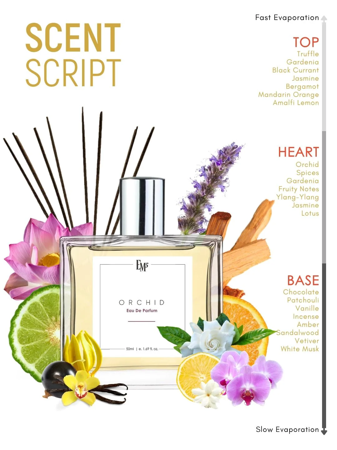 Orchid | Eau De Parfum - Image 3