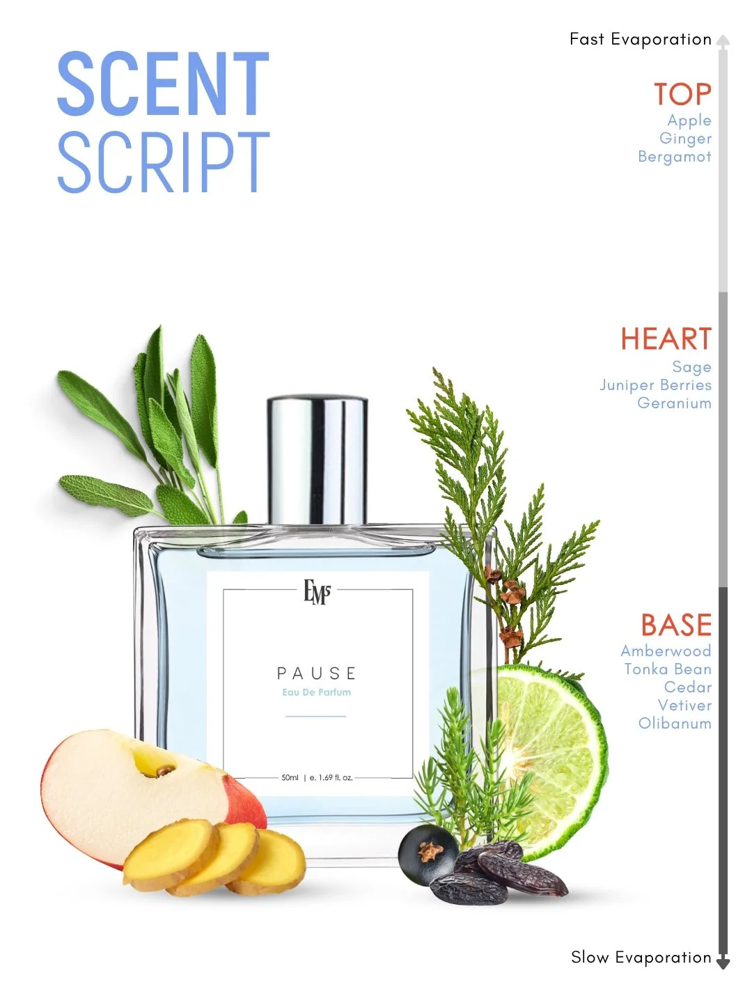 Pause | Eau De Parfum - Image 3