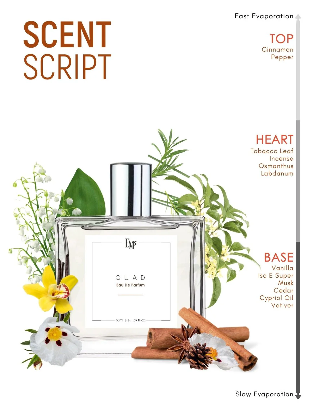 Quad | Eau De Parfum - Image 3