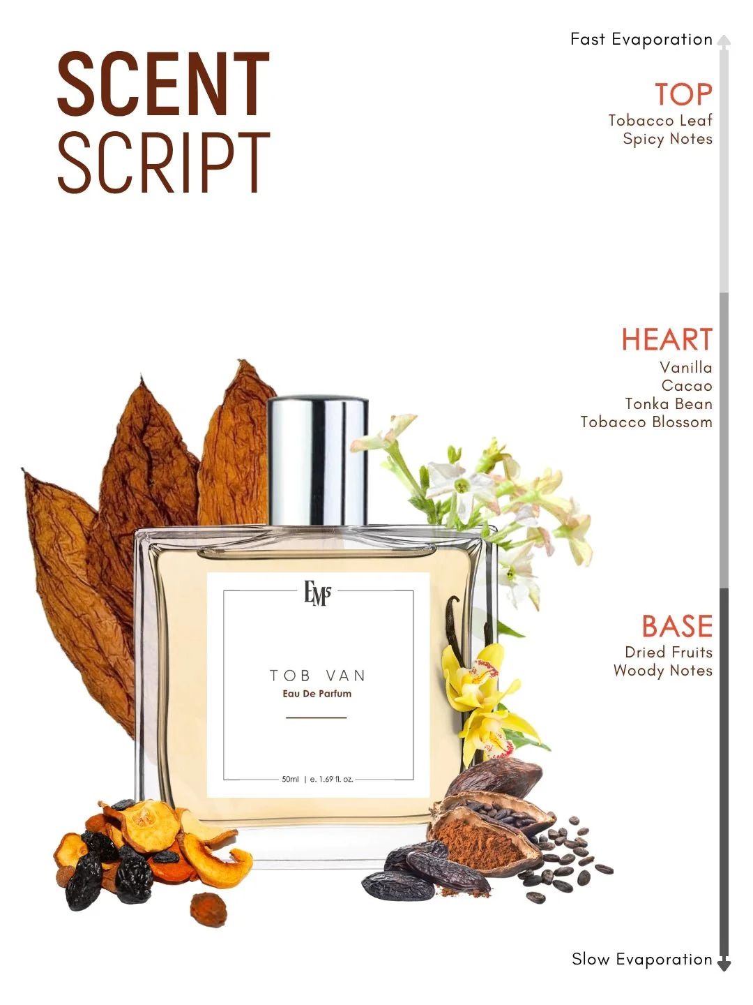 Tob Van | Eau De Parfum - Image 3