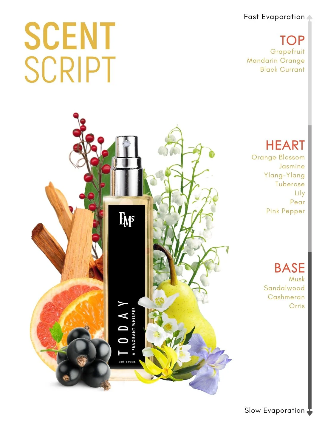 Today | Eau De Parfum - Image 10