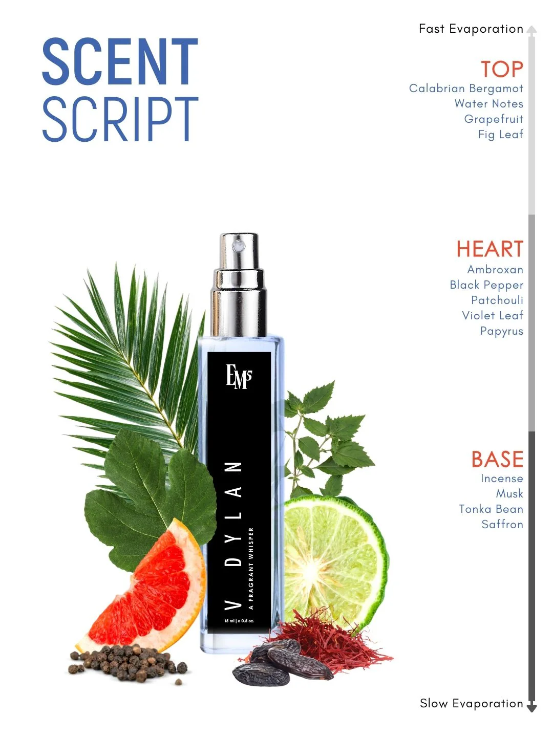 V Dylan | Eau De Parfum - Image 10