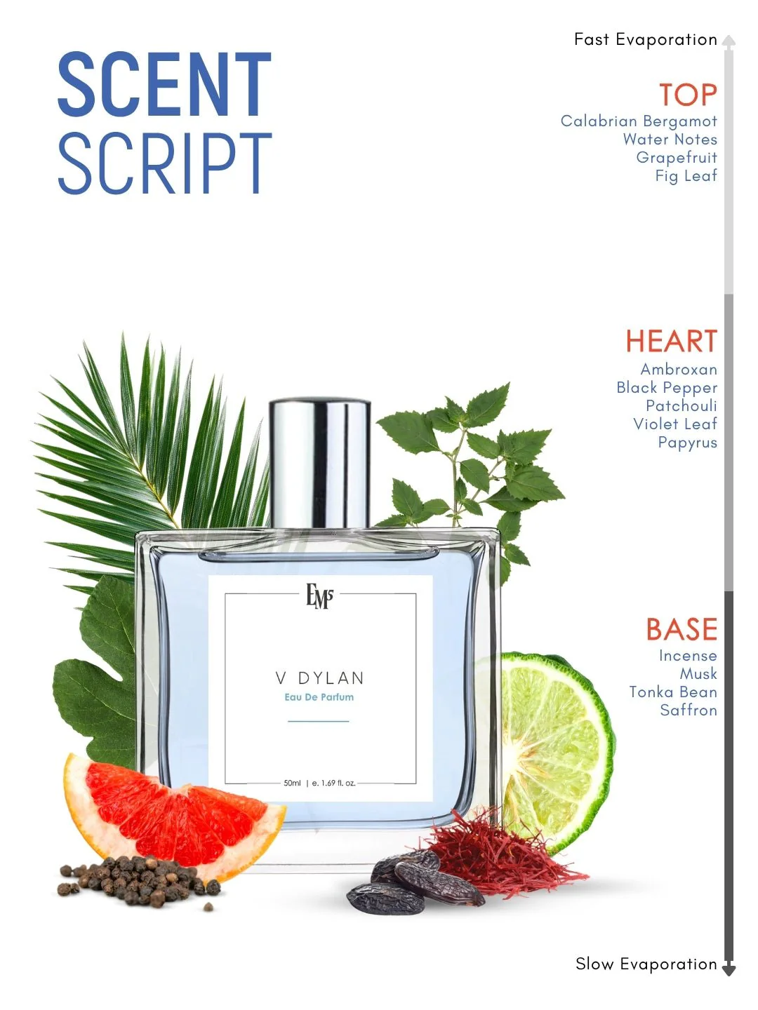 V Dylan | Eau De Parfum - Image 3