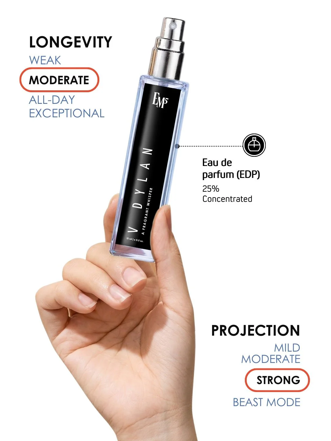 V Dylan | Eau De Parfum - Image 8
