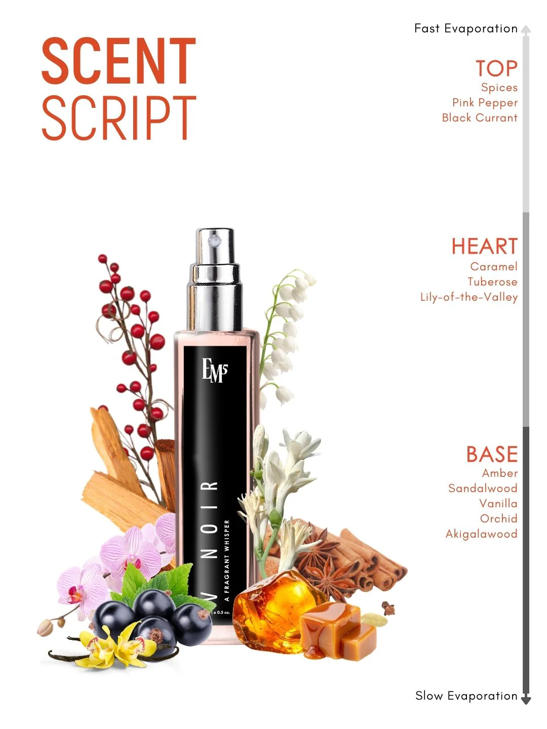 V Noir | Eau De Parfum - Image 10