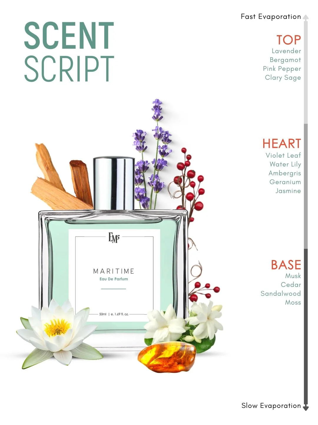 Maritime | Eau De Parfum - Image 3