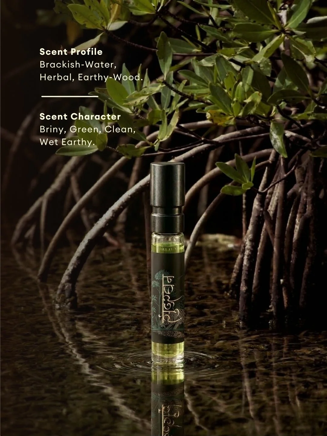 The Premium Masculine Scents Pack of 4 Perfumes - Image 8