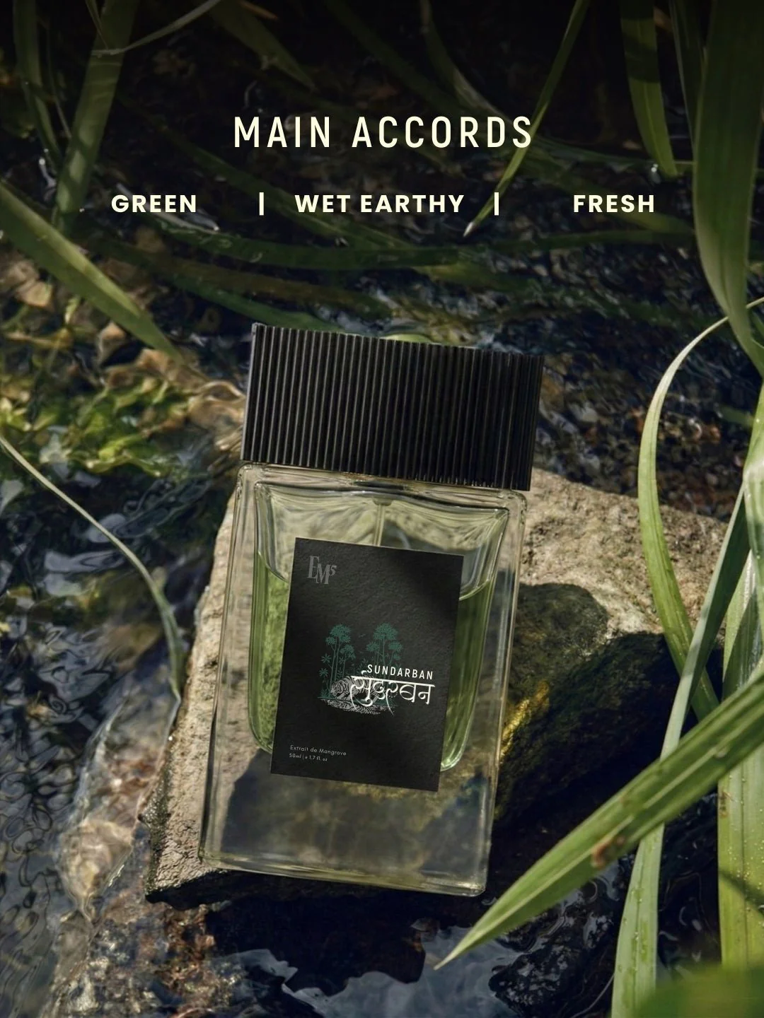 Sundarban 50ml Perfume Spray - Image 3